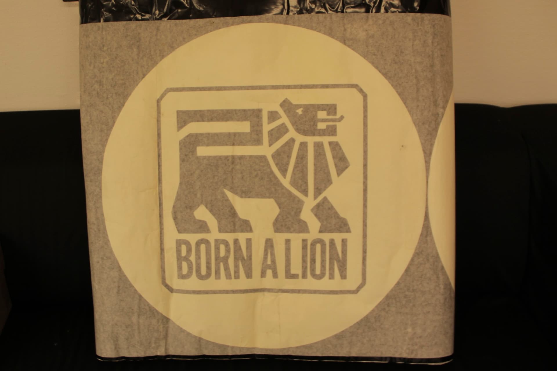 Born A Lion 10 year anniversary competition